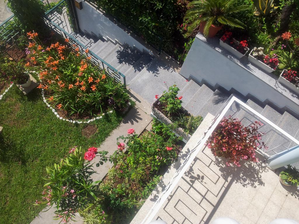 Panorama Apartments Budva Eksteriør billede